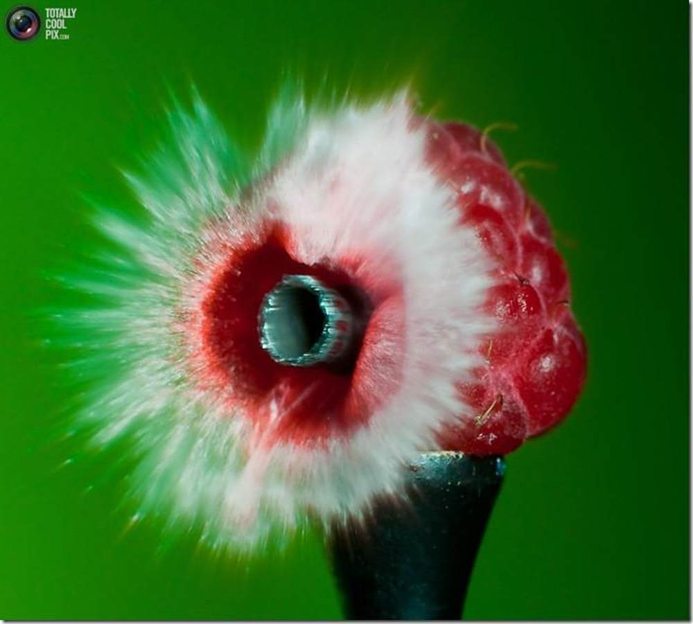 菊花被爆!子弹高速穿透物体爆炸瞬间