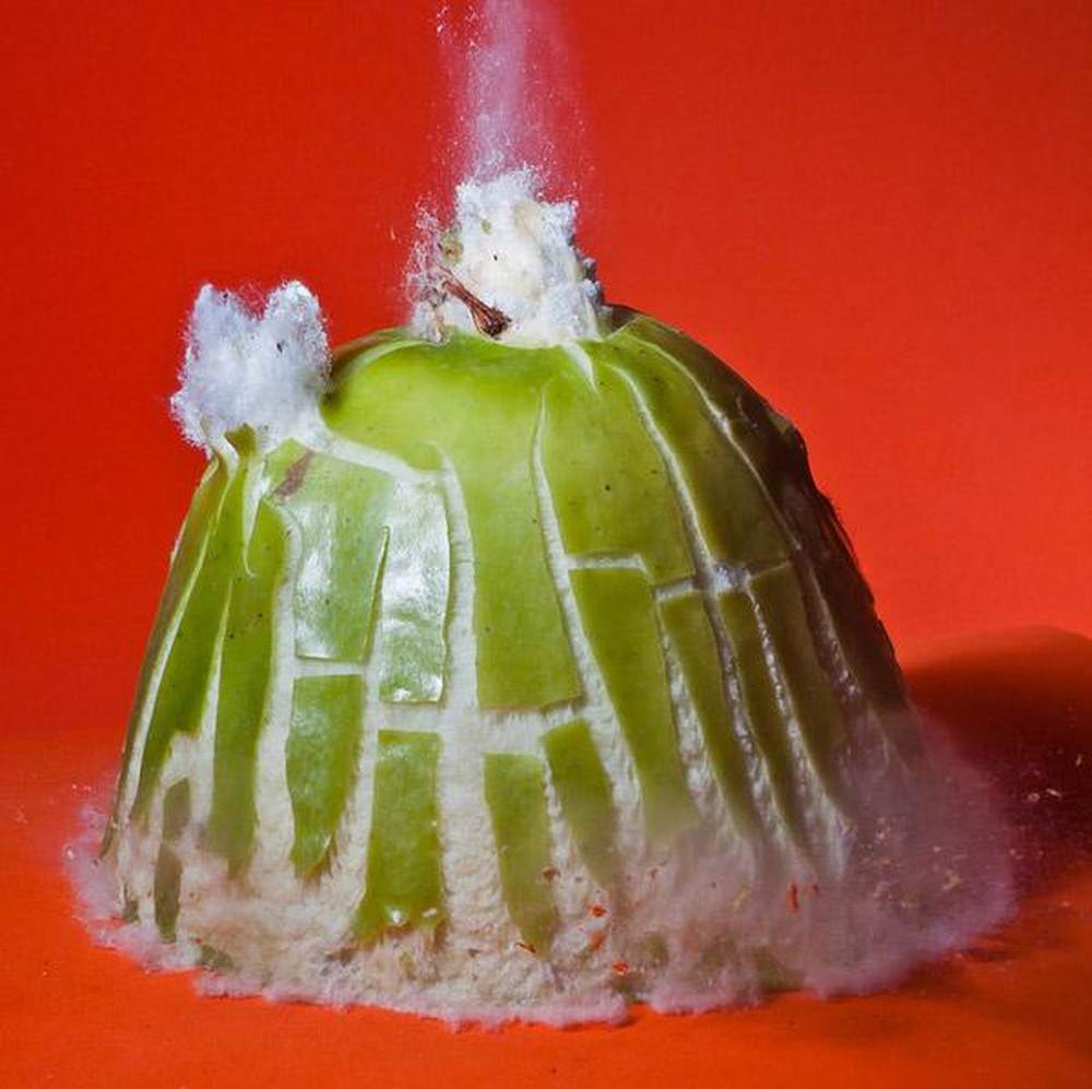 菊花被爆!子弹高速穿透物体爆炸瞬间