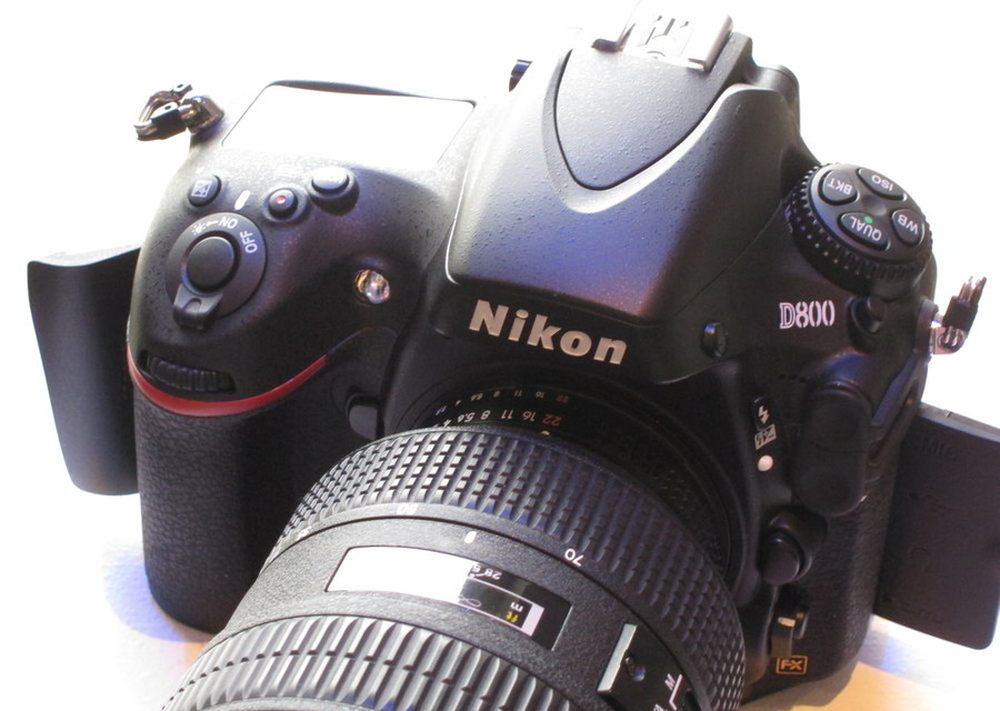 3600万像素的诱惑尼康d800真机图赏