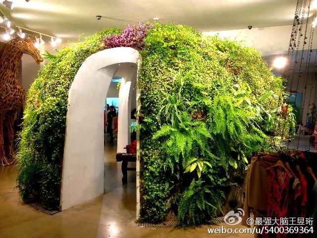 "鬼才之眼"王昱珩的家,居然是这样的!!