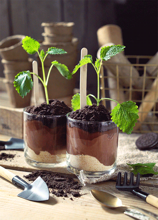 540_750竖版 竖屏gif 动态图 动图