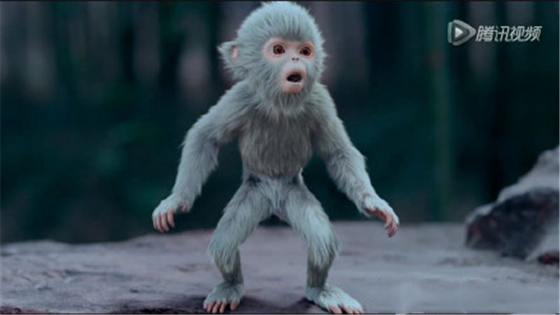 哒~看张小凡和小灰的日常,让人也很想养一只酱紫的小猴子呢~《幻城》