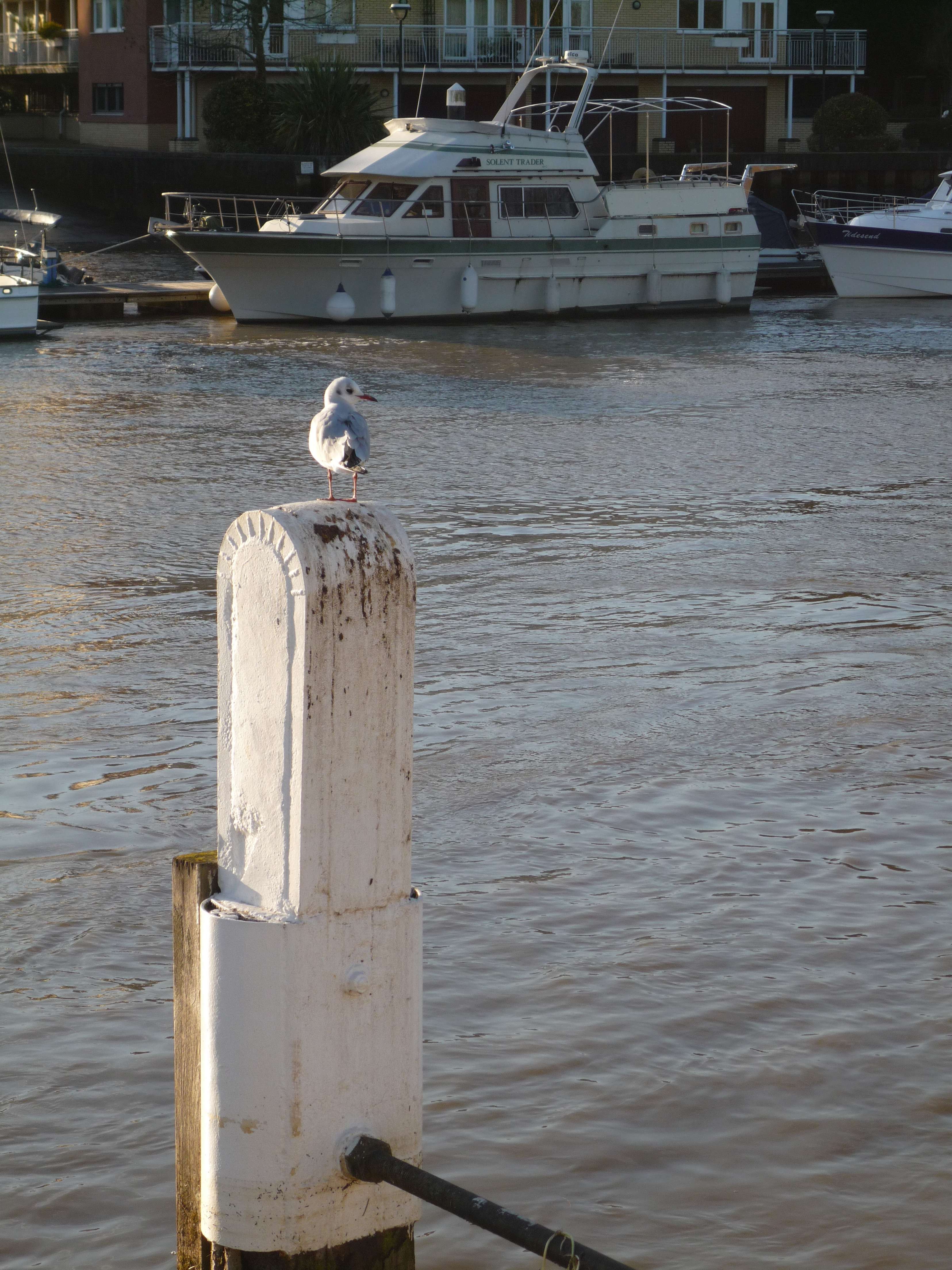 松下fx180样张图片7