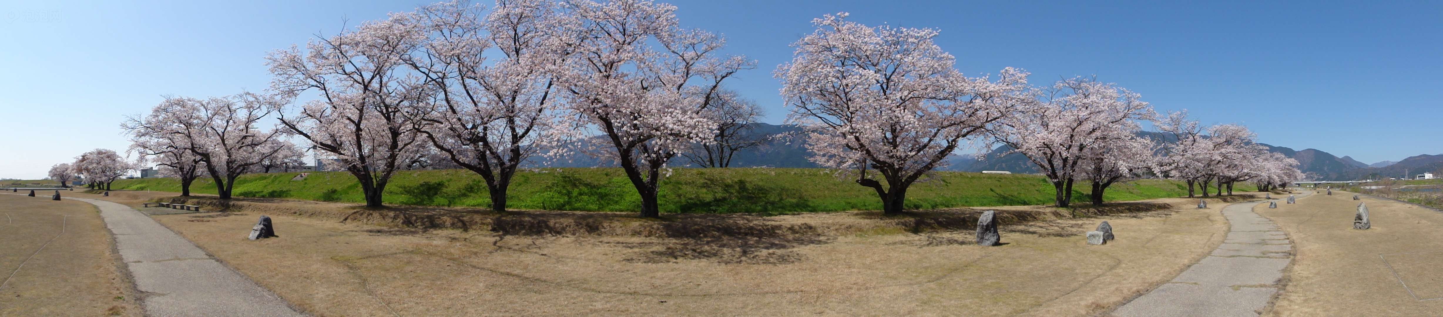 索尼hx5c样张图片85