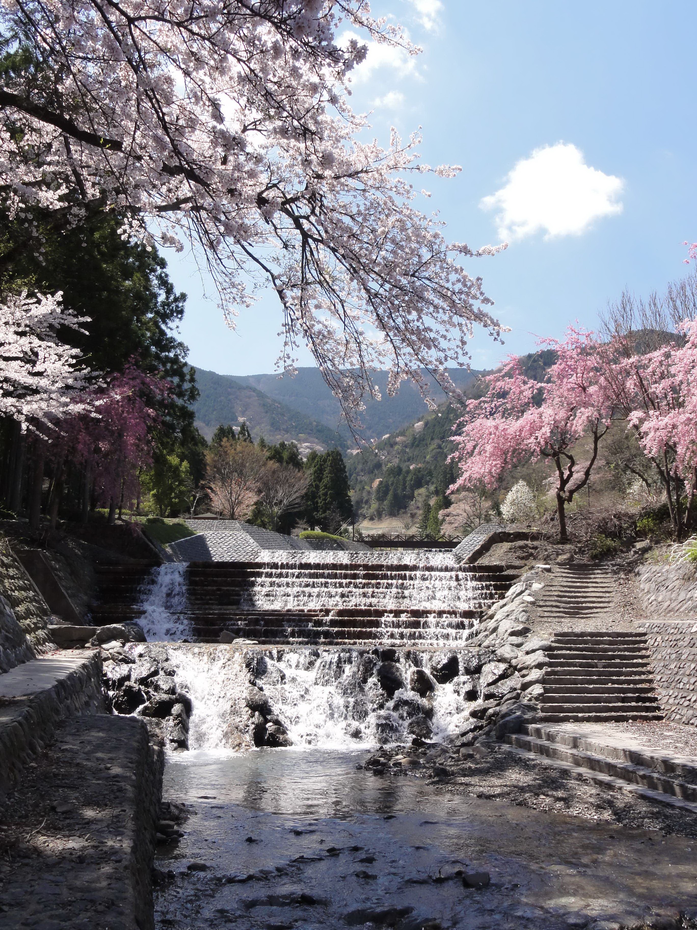 索尼hx5c样张图片88