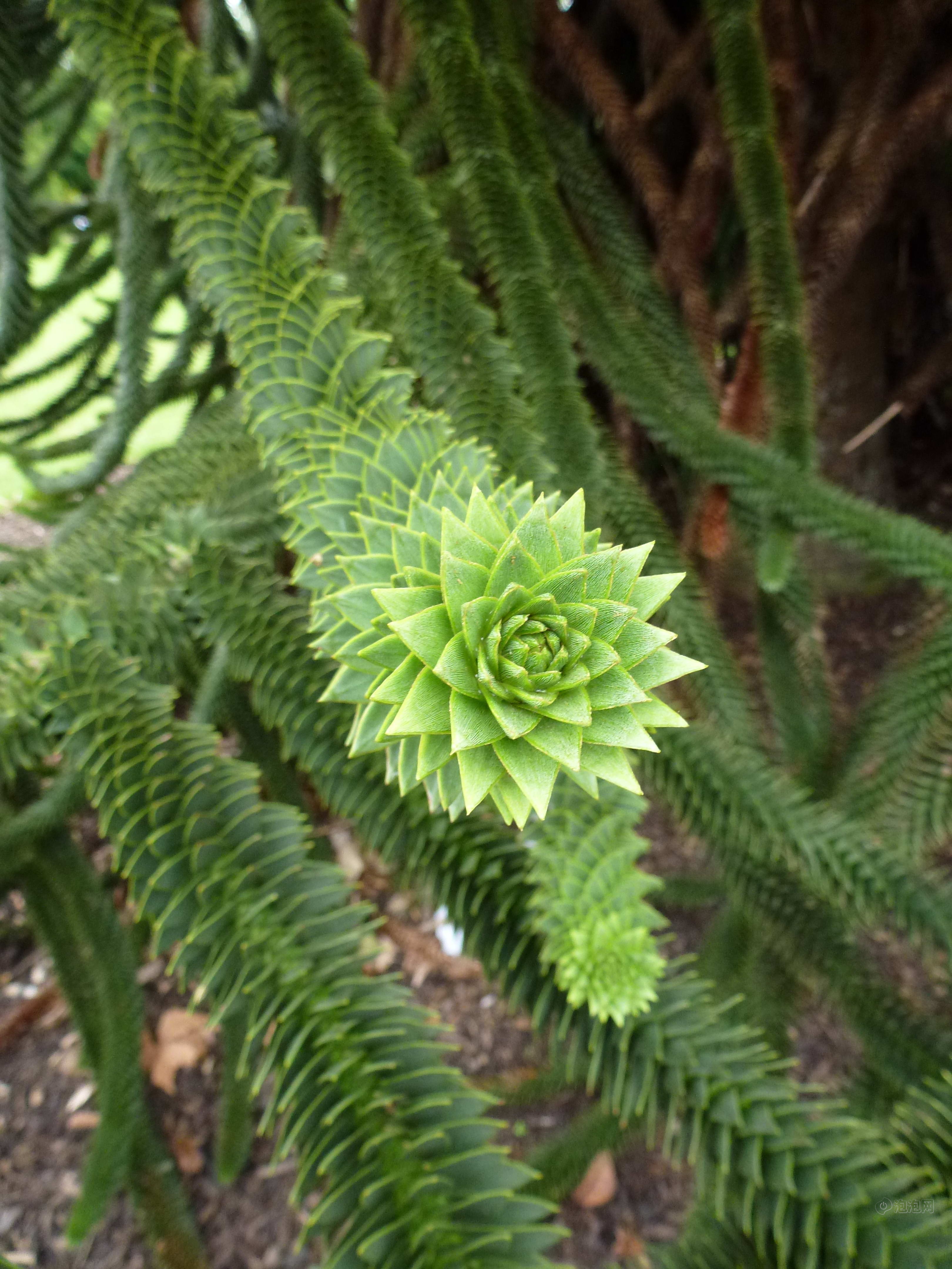 徕卡v-lux30样张图片19