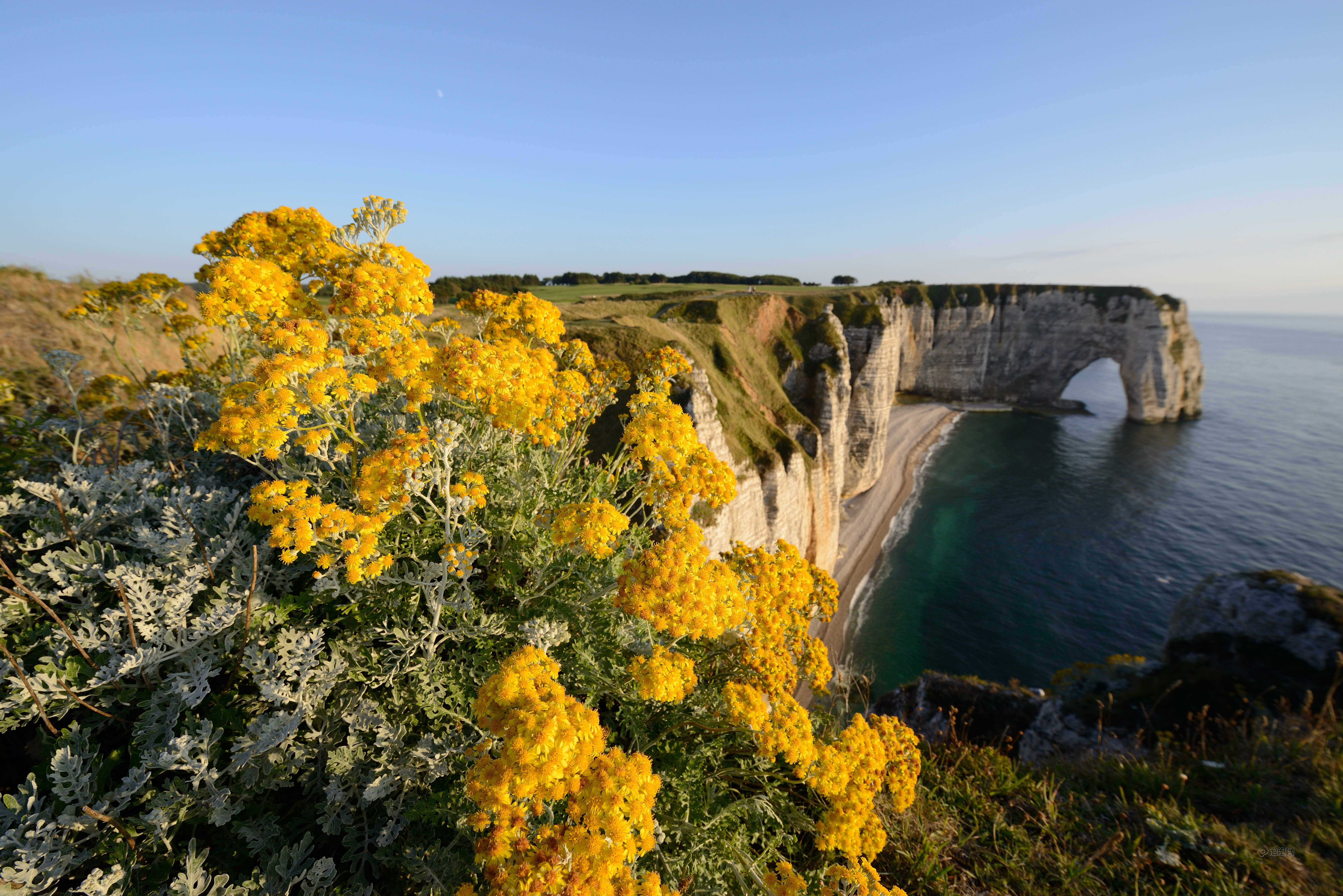 尼康d800 单反机身(专业级单反 3630万像素 3英寸液晶屏 连拍6张/秒)